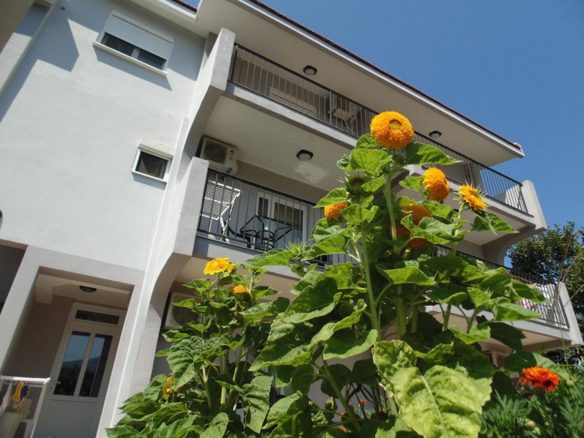 Apartments Macaso Bar Zewnętrze zdjęcie