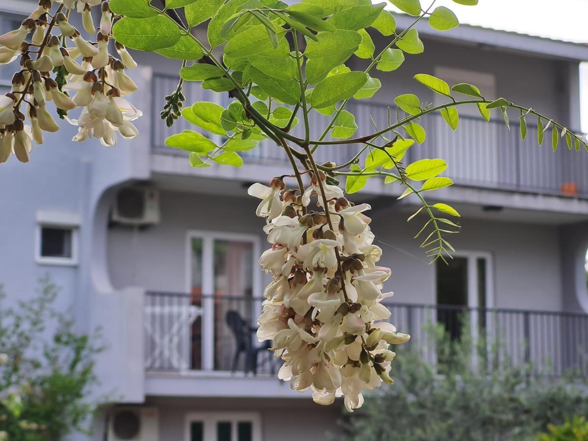 Apartments Macaso Bar Zewnętrze zdjęcie
